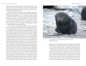 Czochrałem antarktycznego słonia (wydanie rozszerzone) - Mikołaj Golachowski