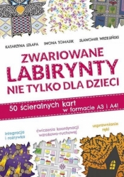 Zwariowane labirynty nie tylko dla dzieci - Katarzyna Szłapa, Iwona Tomasik, Sławomir Wrzesiński