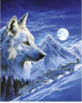 <img src='https://webimage.pl/pics/769/0/d5902444070005.jpg' style='height:440px' /> Diamentowa mozaika Wilk zimową nocą NO-1007000
