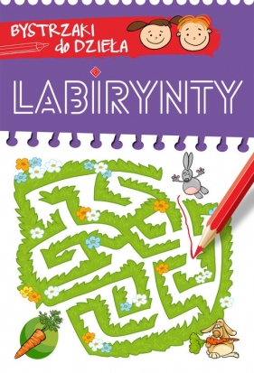 Bystrzaki do dzieła Labirynty - Opracowanie zbiorowe