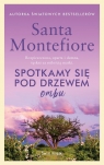 Spotkamy się pod drzewem ombu Santa Montefiore