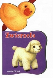 Zwierzęta - Opracowanie zbiorowe