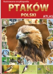 Ilustrowana encyklopedia ptaków Polski (Uszkodzona okładka)
