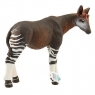  Okapi