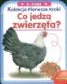 Kolekcja pierwsze kroki. Co jedzą zwierzęta