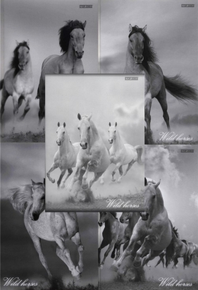 Zeszyt A4 Top-2000 w kratkę 60 kartek Wild horses mix - <br />