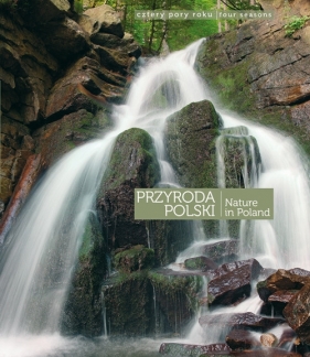 Przyroda Polski Cztery pory roku - Kłosowski Tomasz