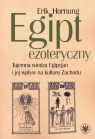 Egipt ezoteryczny.Tajemna wiedza Egipcjan i jej wpływ na kulturę Zachodu Hornung Erik