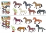 Zestaw koni