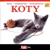 Koty. Fakt album 2/2011 - Opracowanie zbiorowe