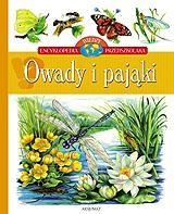 Owady i pająki Encyklopedia wiedzy przedszkolaka