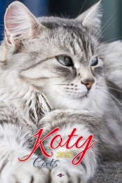 Kalendarz 2021 Koty
