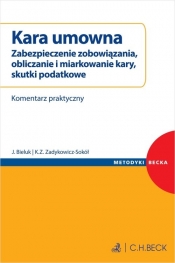 Kara umowna. Zabezpieczenie zobowiązania, obliczanie i miarkowanie kary, skutki podatkowe. Komentarz