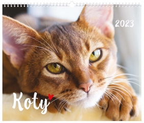 Kalendarz planszowy - koty (40 x 33.5 cm)