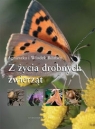 Z życia drobnych zwierząt Bilińska Agnieszka, Biliński Włodek