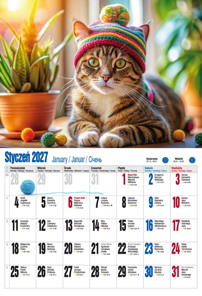 <img src='https://webimage.pl/pics/774/0/dPanK-2027-KSA-v2-5908015730774-Kocie-2.png'>