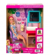 Zestaw + lalka Barbie Domowe Spa Maseczka na twarz (HCM82)