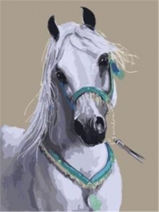 Obraz Malowanie po numerach - Biały koń portret (NO-1005577)
