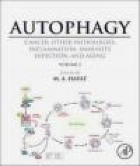 Autophagy: Cancer, Other Pathologies, Inflammation, Immunity, Infection, and