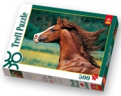 Gobelin, arab, stadnina koni Niewierz, Polska - 500 elementów (37077)