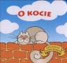 O kocie  Kaźimierczak Dorota