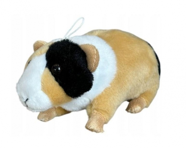 Świnka morska łaciata 14cm