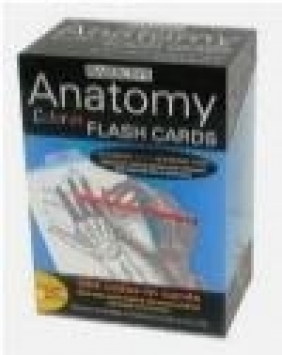 Anatomy Color-In Flash Cards Kurt Albertine