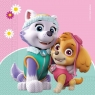 Serwetki Godan Paw Patrol 330 mm x 330 mm (90277)