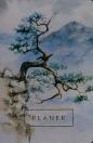 Planer Góry