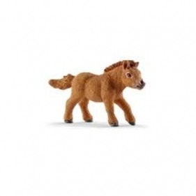 Mini Shetty źrebię (13777)