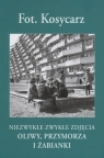 Fot. Kosycarz. Niezwykłe Zwykłe Zdjęcia Oliwy, Przymorza i Żabianki Maciej Kosycarz