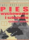 Twój przyjaciel pies Wychowanie i szkolenie użytkowo - obronne Brzezicha Antoni