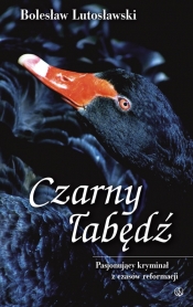 Czarny łabędź