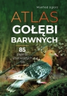 Atlas gołębi barwnych Uglorz Manfred
