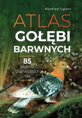 Atlas gołębi barwnych - Uglorz Manfred