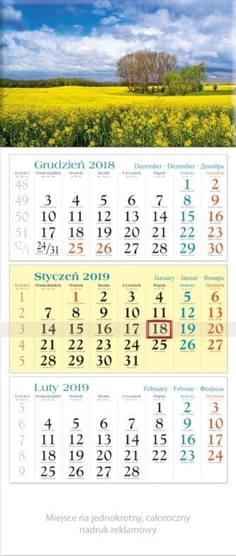 Kalendarz 2019 Trójdzielny Widok KT7