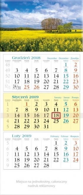 Kalendarz 2019 Trójdzielny Widok KT7