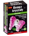 Kryształowy motylek Rosnące kryształy