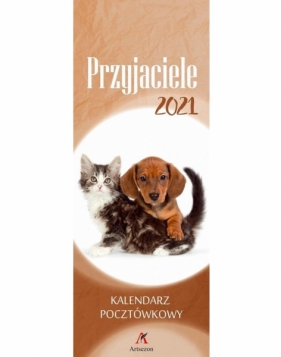 Kalendarz 2021 ścienny pocztówkowy - Przyjaciele