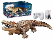 Krokodyl R/C pływający