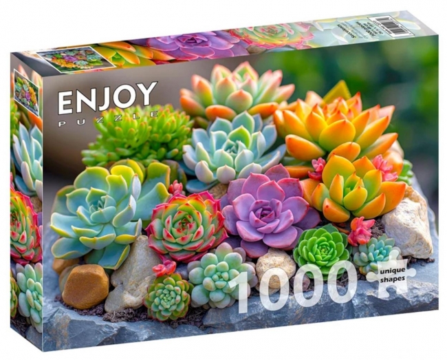 Puzzle 1000 Sukulenty