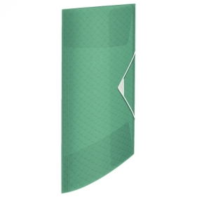 Teczka plastikowa na gumkę Esselte colour ice A4 kolor: zielony (626223)