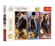 Trefl, Puzzle 200: Harry Potter - W świecie magii i czarów (13277)