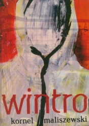 Wintro - Maliszewski Kornel<br />