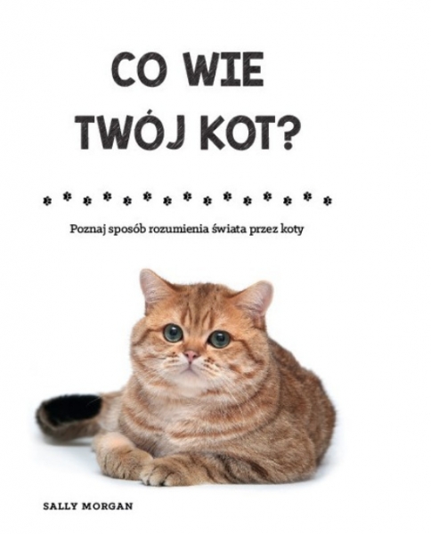 Co wie Twój kot?