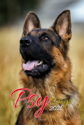 Kalendarz 2021 Psy