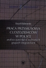  Praca przymusowa cudzoziemców w Polsceanaliza zjawiska w wybranych