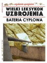 Wielki Leksykon Uzbrojenia. Wydanie Specjalne. Bateria Cyplowa