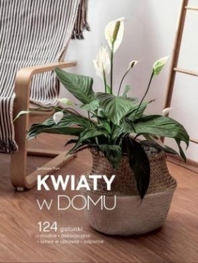 Kwiaty w domu - Jarosław Rak