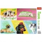 Puzzle Neon Color Line 1000: Odlotowe psy (10578)